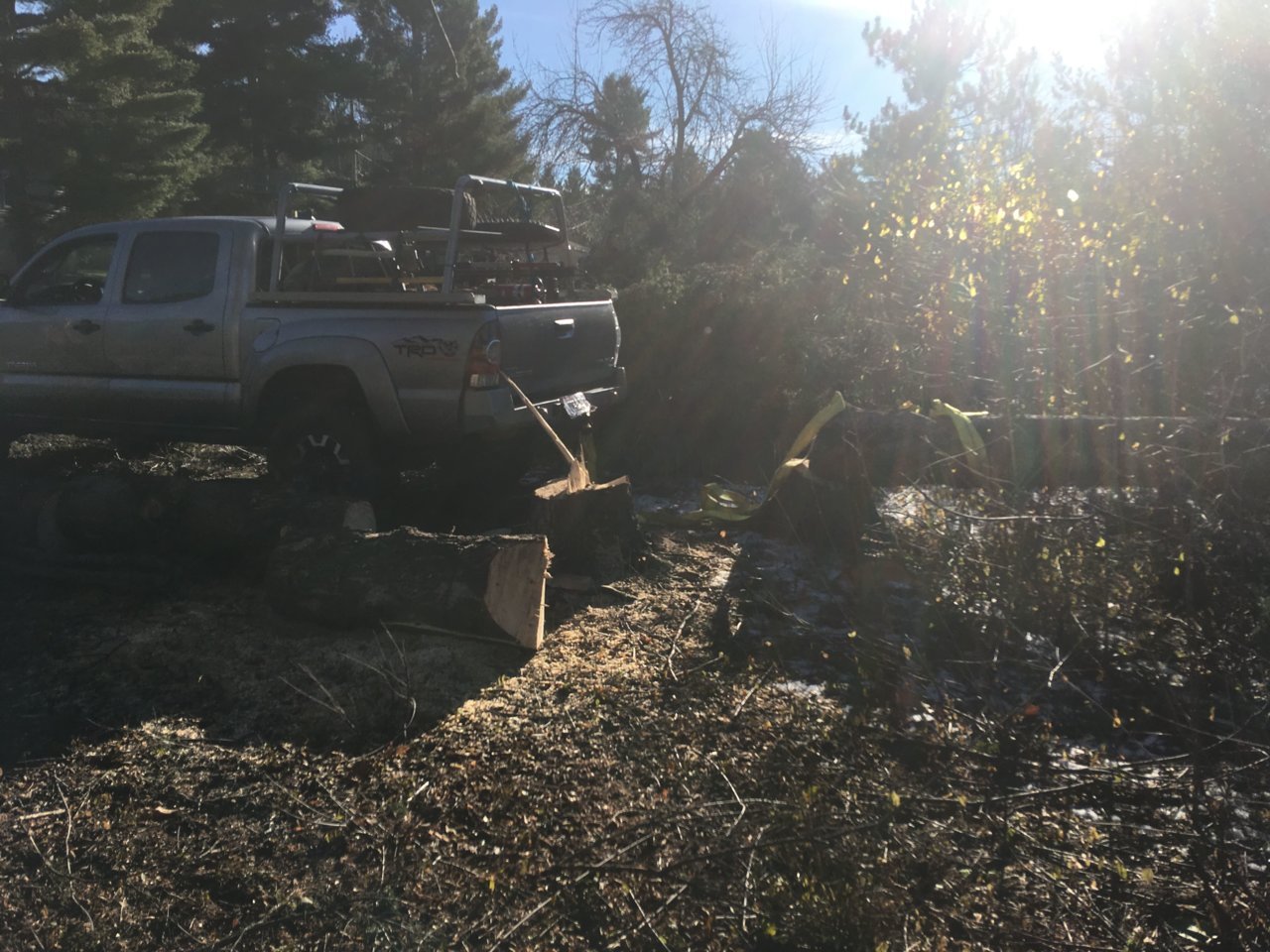 Skidder 1.jpg