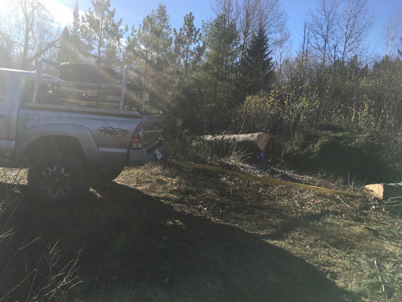 Skidder.jpg