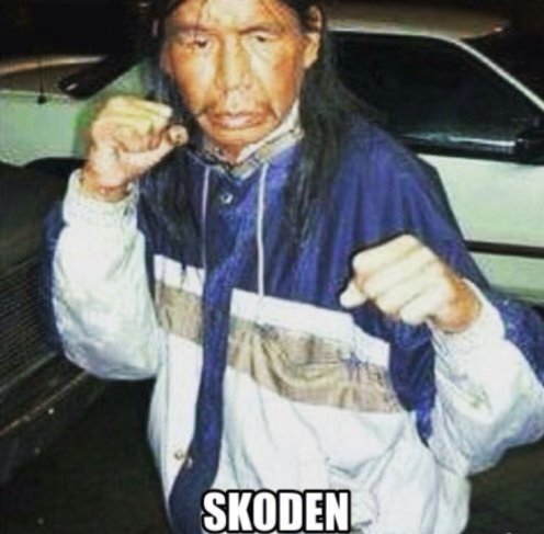 skoden.jpg