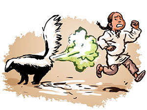 skunk-sprayed.jpg
