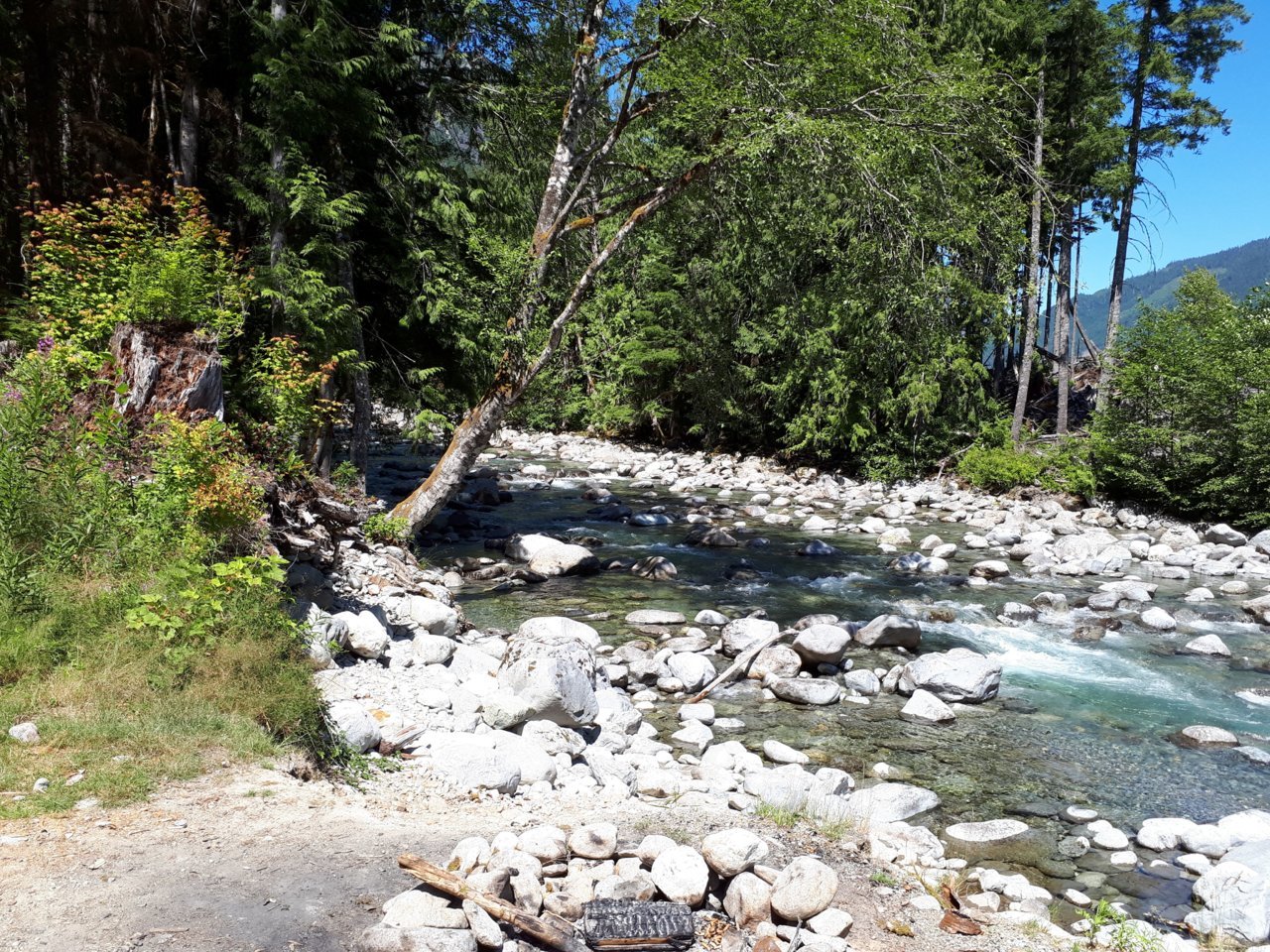 SkwelCreek.jpg