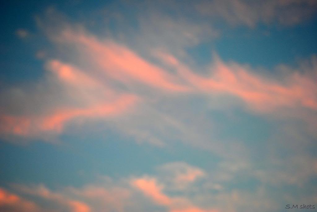 sky_b1a01278411acc69277a0287cfdfbc58184a9362.jpg