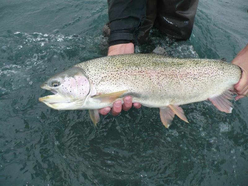 slabbow_zpseb3e5fe6_55c7eba36051b9f97f8d1e704491a2064fd9d511.jpg