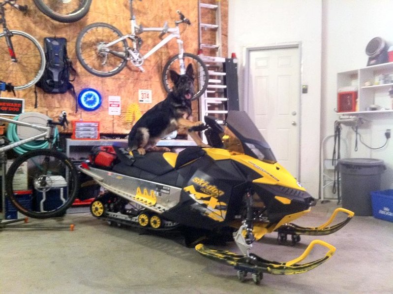 sled.jpg
