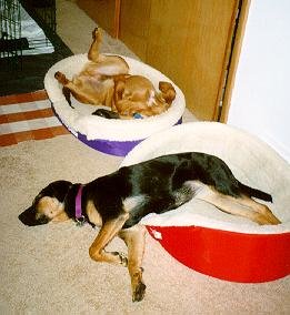 SLEEP04.jpg