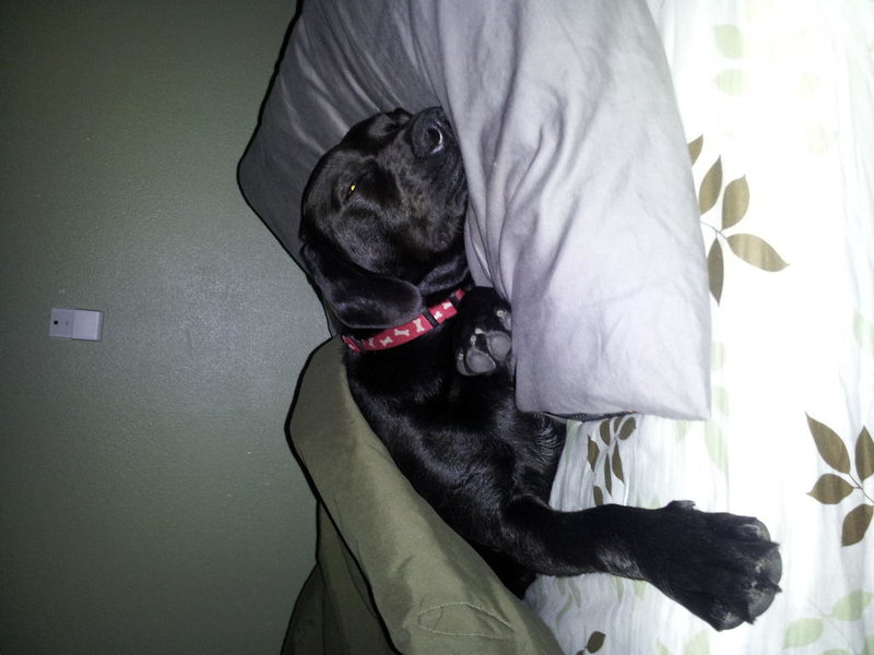sleeping1.jpg