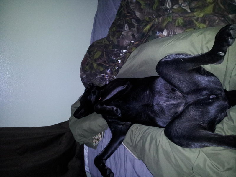 sleeping2.jpg
