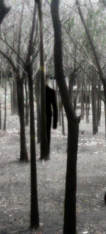 slenderman_in_the_forest_by_shizuriiku-d64y5q9-1024x768~01.jpg