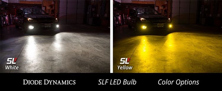 slf_color_collage_1.jpg