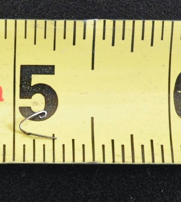 Sliver - cropped.jpg