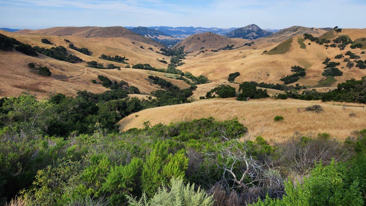 SLO July.jpg