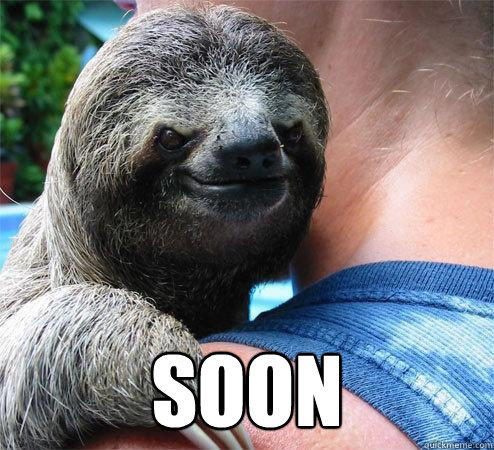 sloth.jpg