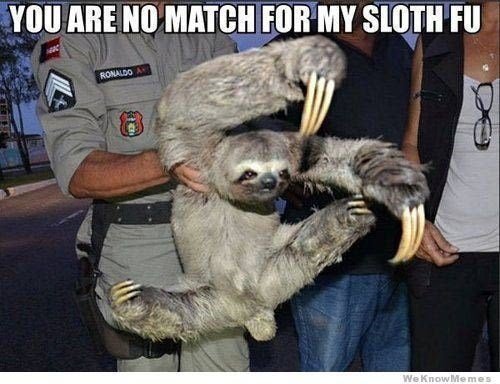 sloth-meme-of-a-sloth-being-held-by-an-officer-and-drawing-up-its-hands-in-a-defensive-position.jpg