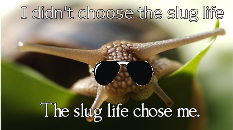 slug 101.jpg