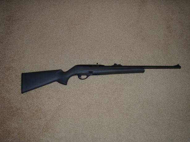 small Remington 597 .22 LR.jpg