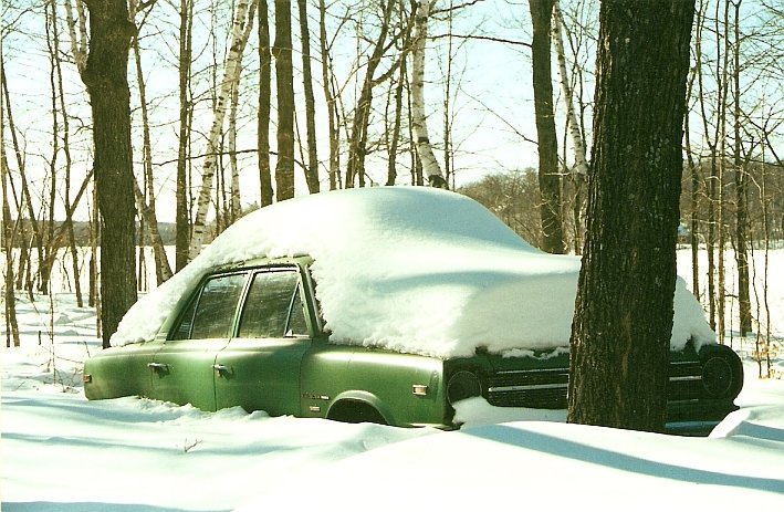Small Snowy_Rambler.jpg