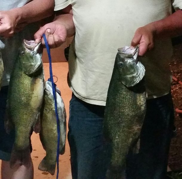 smallies.jpg