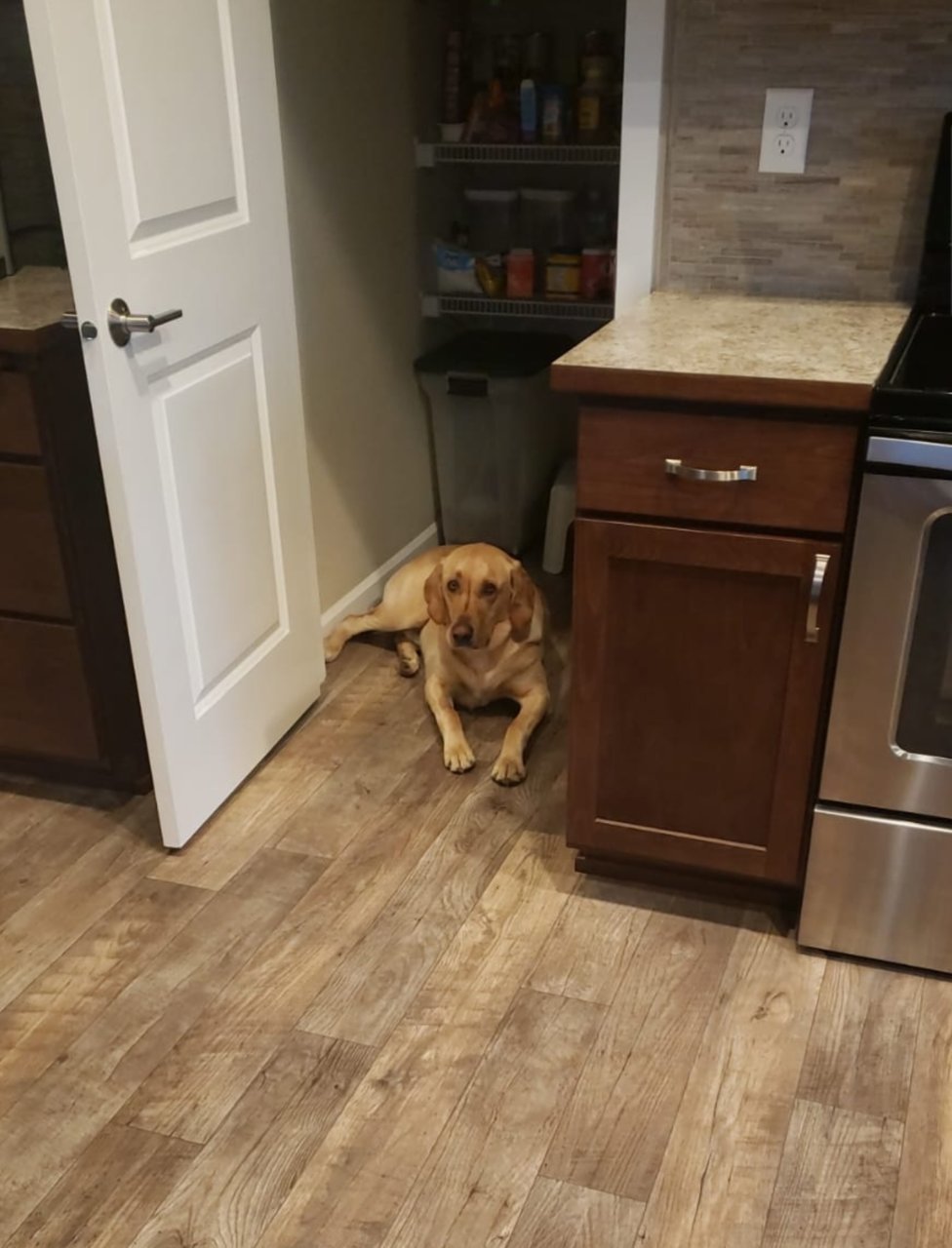 SmartSelect_20190404-175532_Photos.jpg