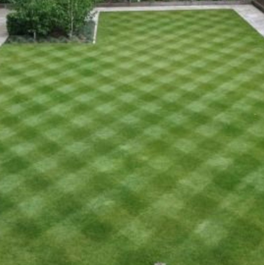 SmartSelect_20190629-171609_Google.jpg
