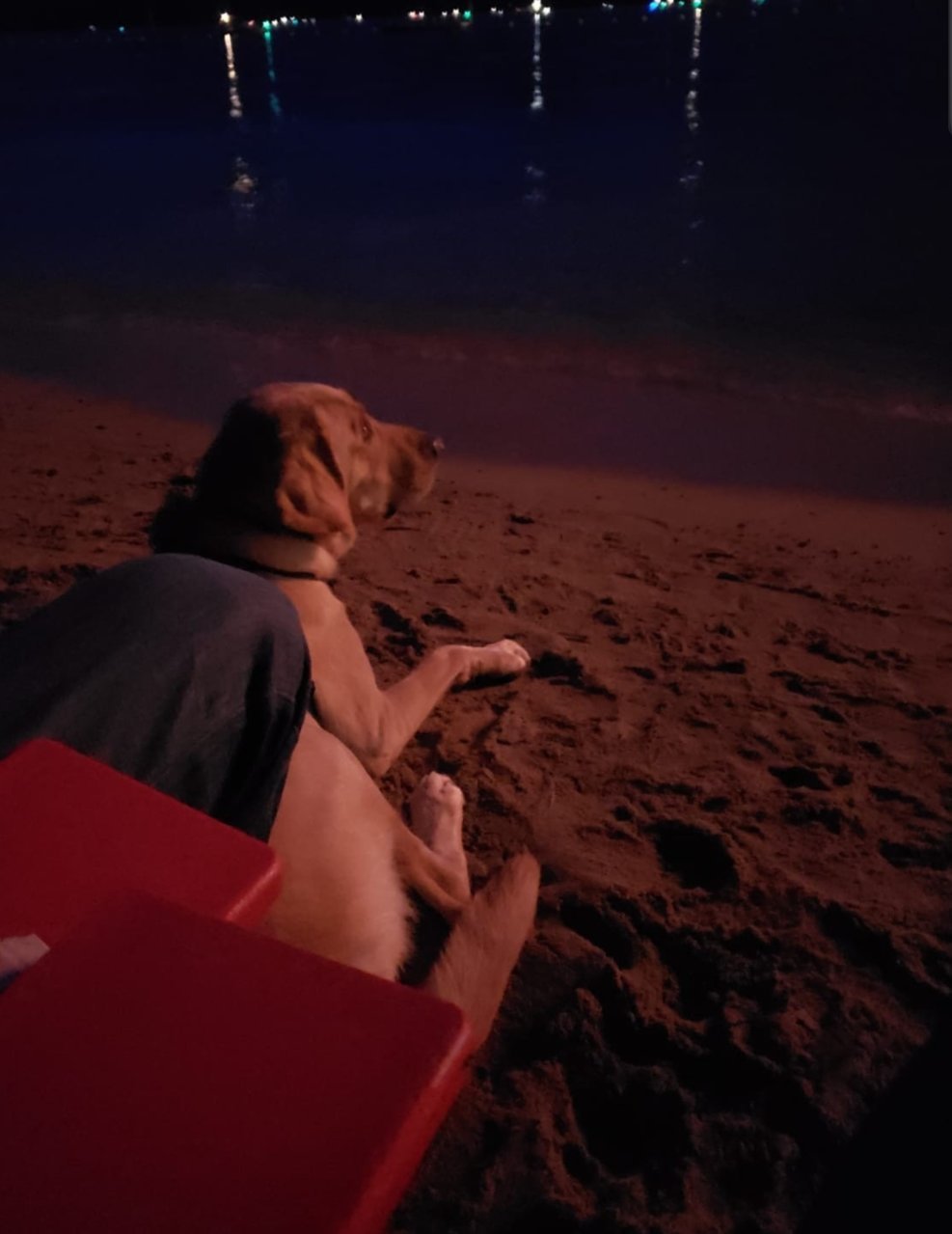 SmartSelect_20190706-172023_Photos.jpg