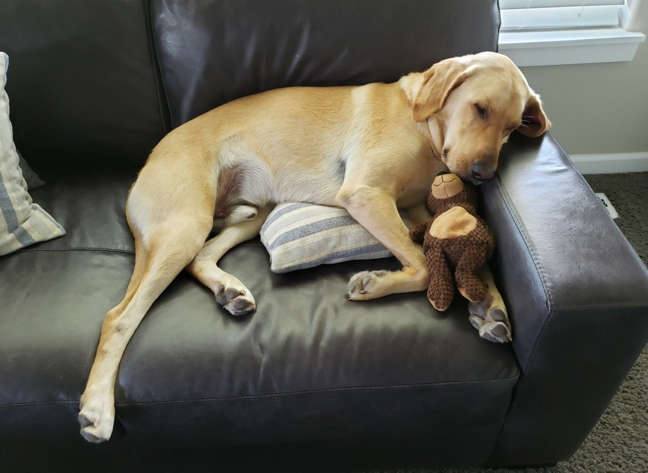 SmartSelect_20190810-164555_Photos.jpg