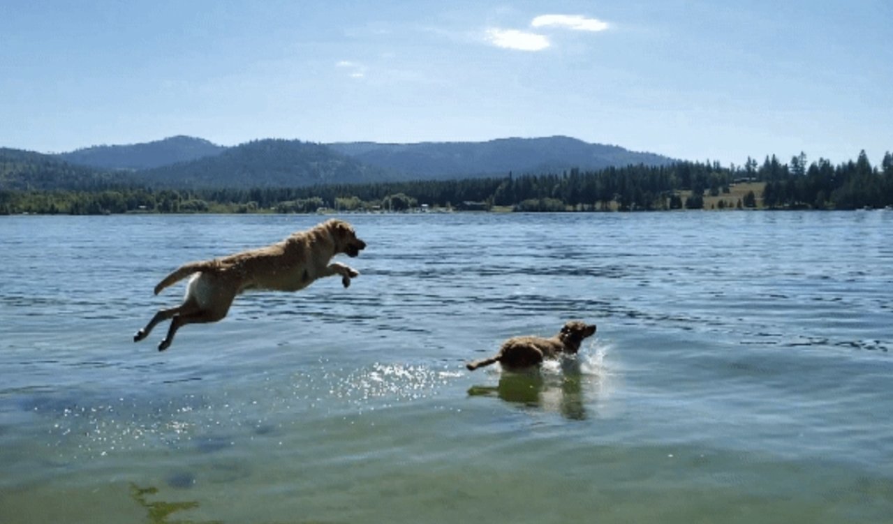 SmartSelect_20190901-210750_Gallery.jpg