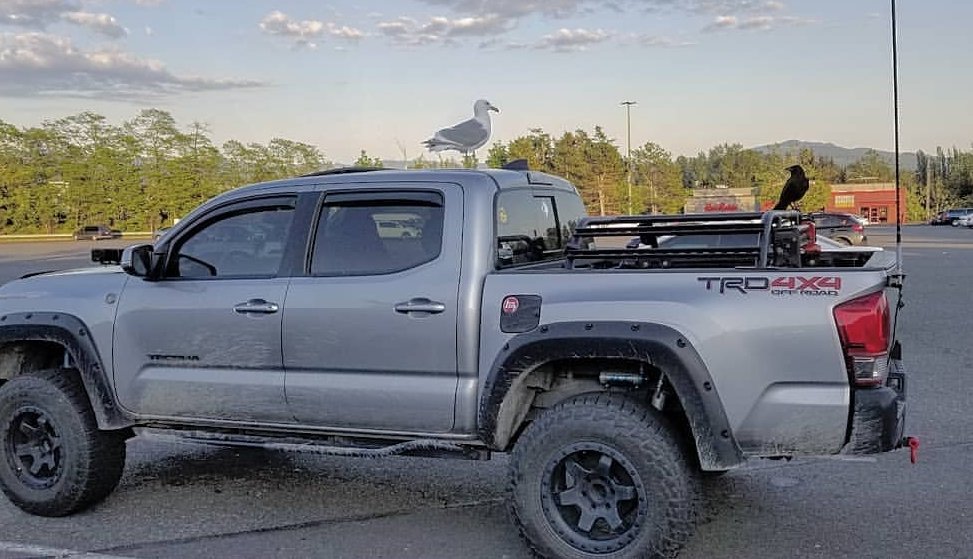 SmartSelect_20191030-200333_Instagram.jpg