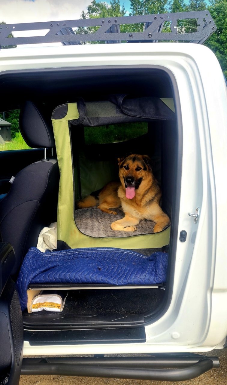 Trying to fit dog crates in backseat Taco is 2 too narrow door to door Tacoma World