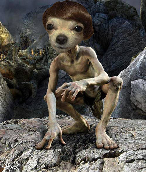 smeagle.jpg