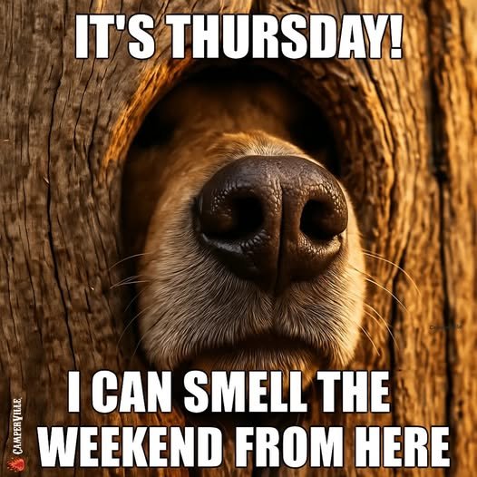 smell.thursday._n.jpg