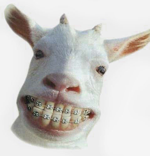 Smile_36bf504ffb1a8d78c60eee082629d33c54036c72.jpg