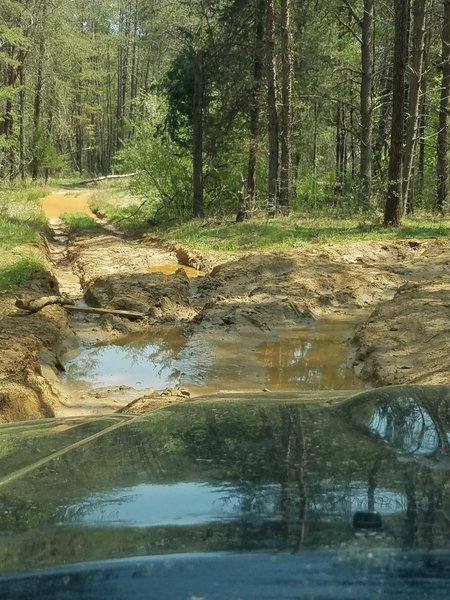 Smith Lake Mud.jpg