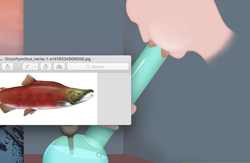 smoked salmon.jpg