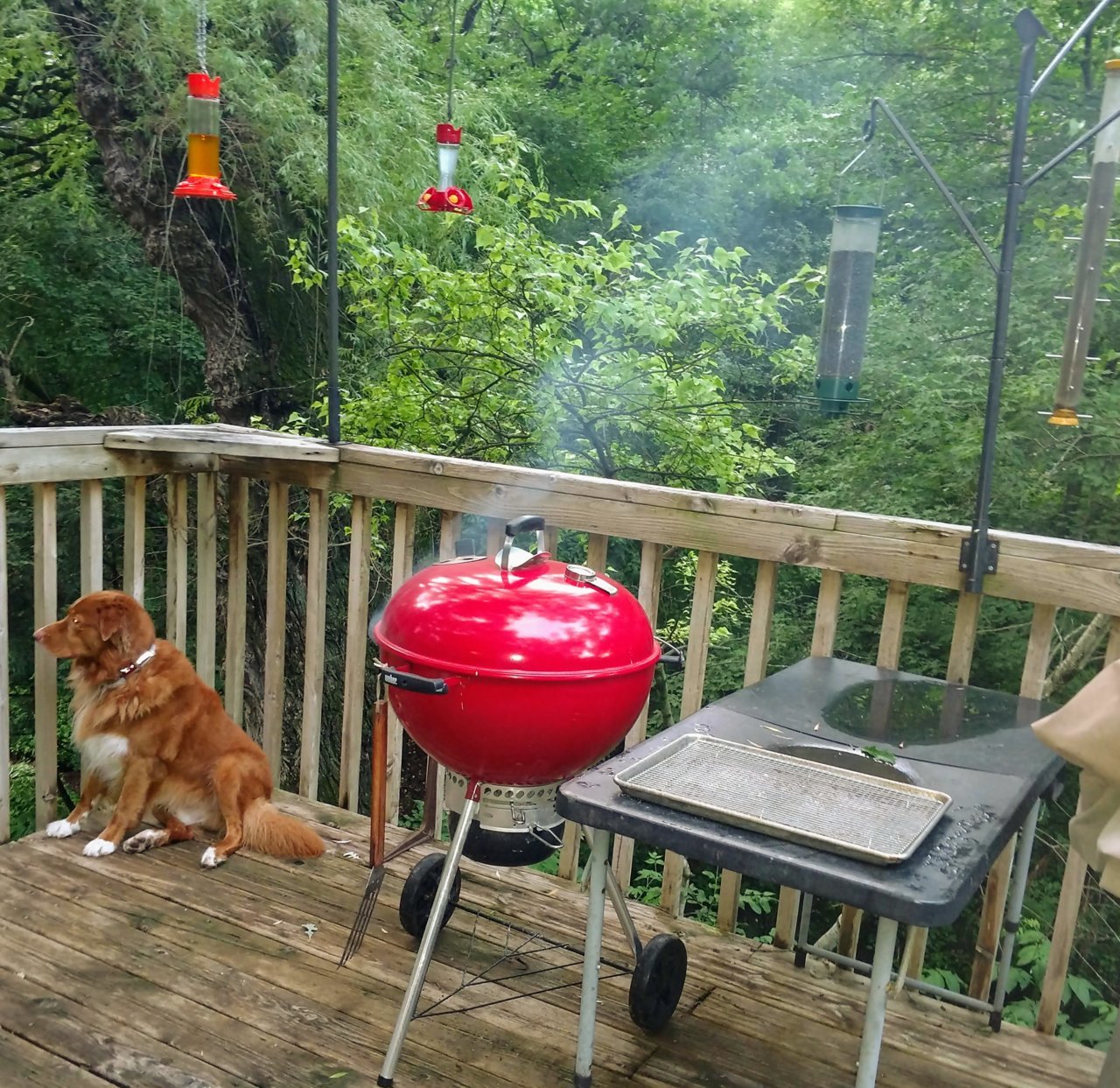 smoking 1.jpg