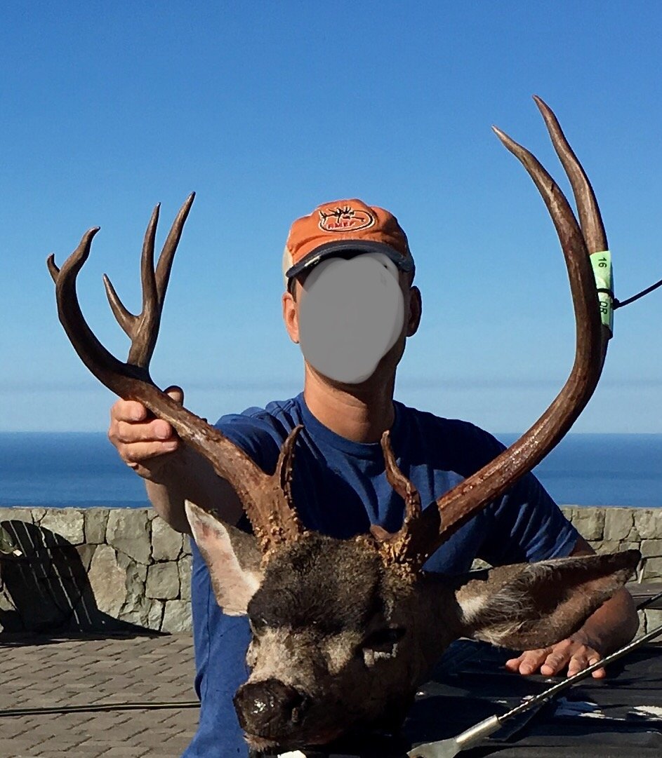 snagglehorn.jpg