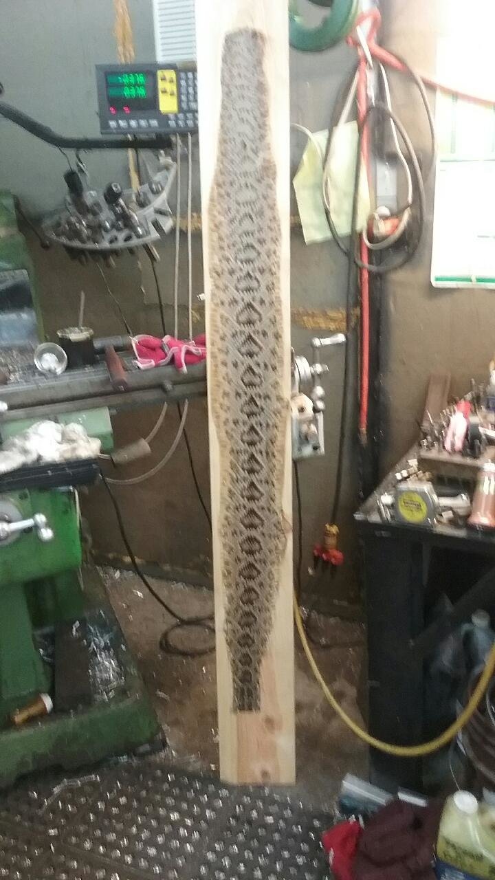 Snake skin.jpg
