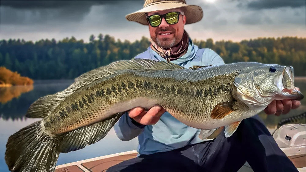 SnakeBassFinal1-1000x562.jpg