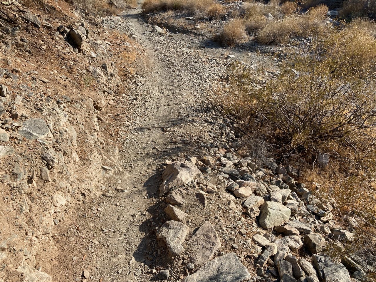 SnakeInTrailFull.jpg