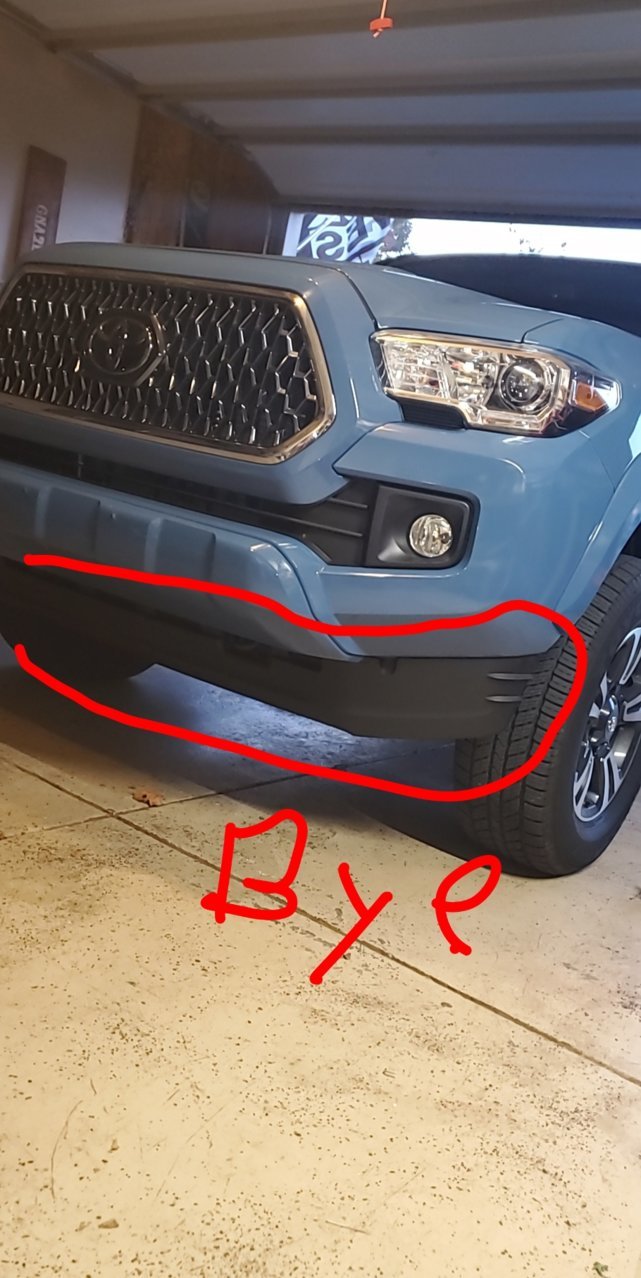 Snapchat-1103603269.jpg