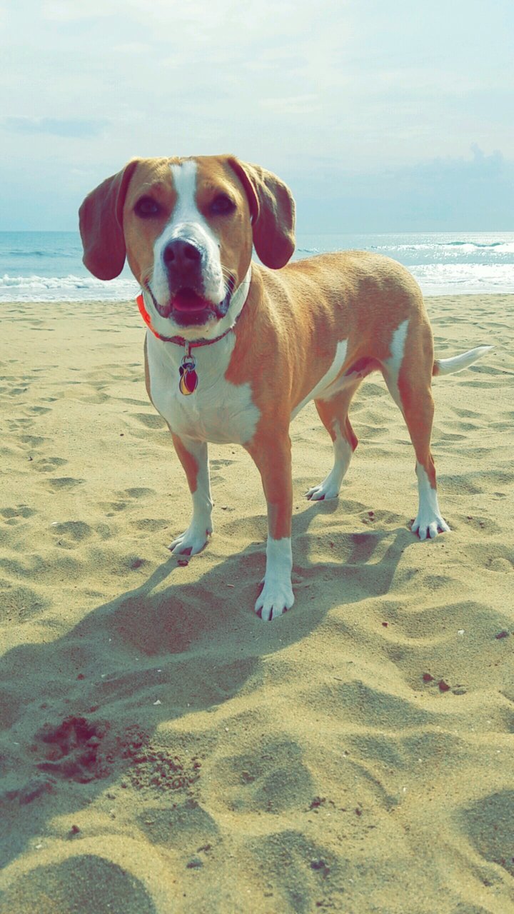Snapchat-1248063338.jpg