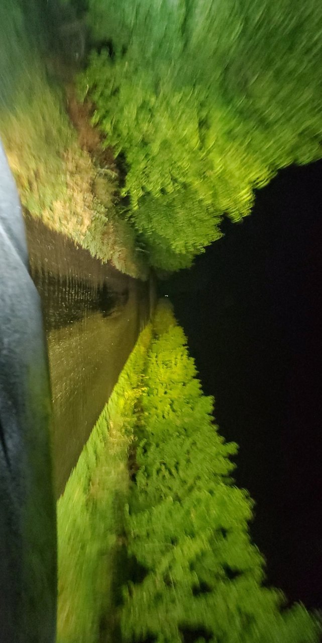 Snapchat-1748562221.jpg