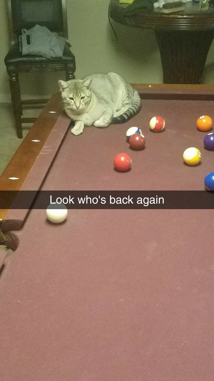 Snapchat-1761970249.jpg