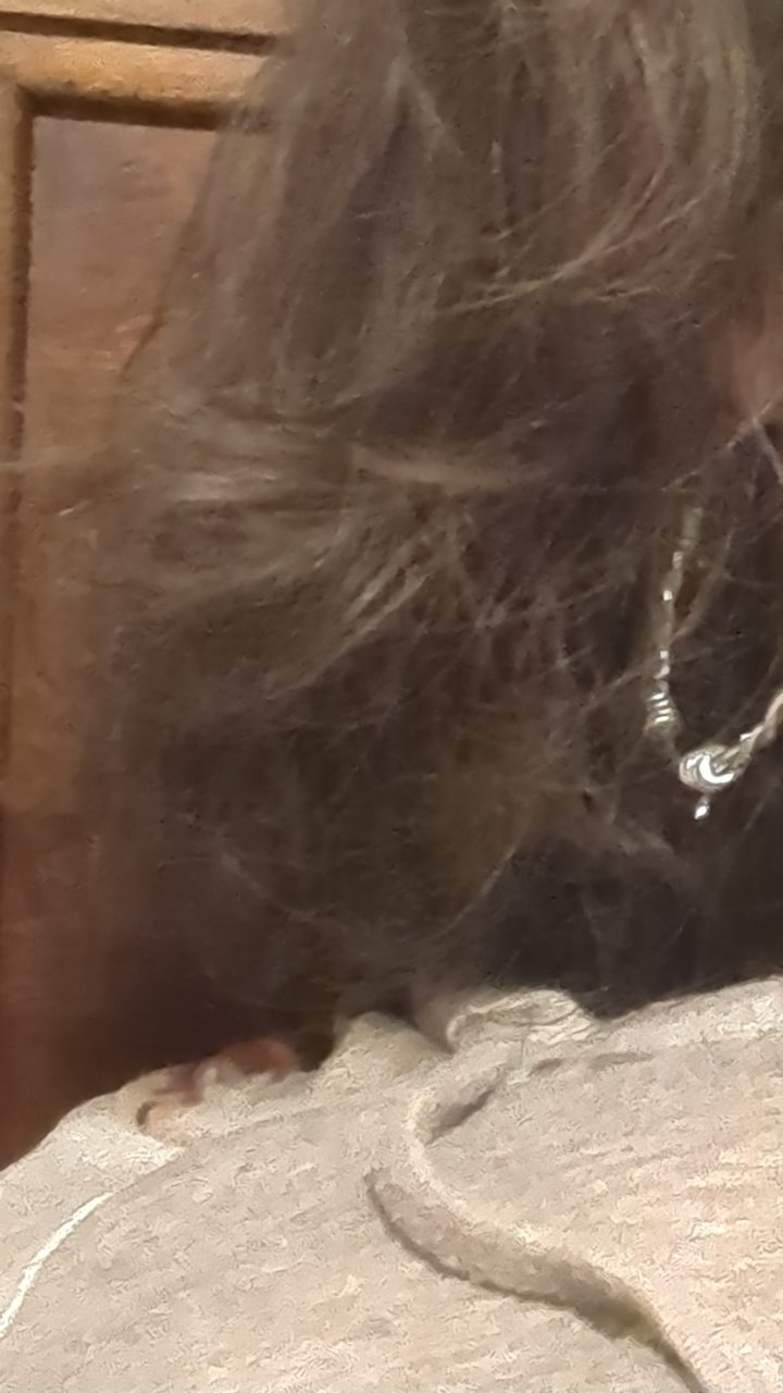 Snapchat-1902843764.jpg