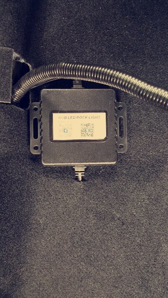 Snapchat-1905029683.jpg
