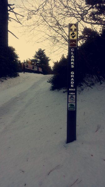 Snapchat-1983870384.jpg
