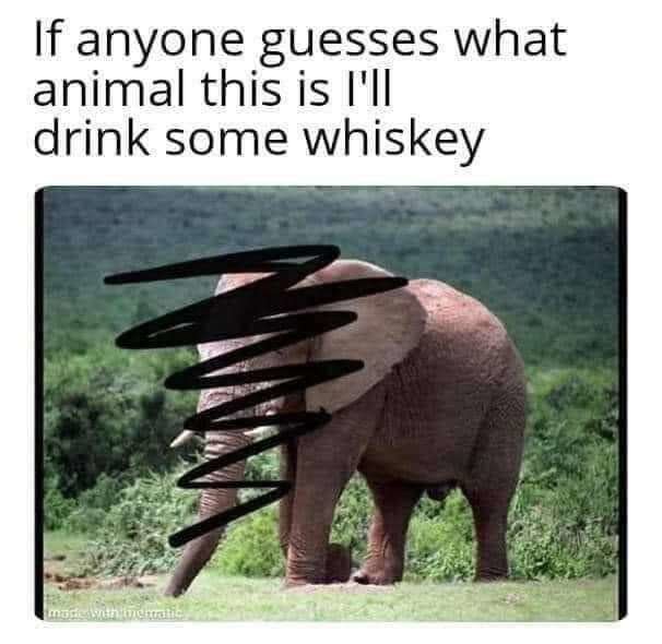 Snapchat-240819429.jpg