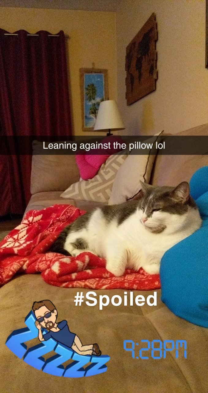 Snapchat-323514845.jpg