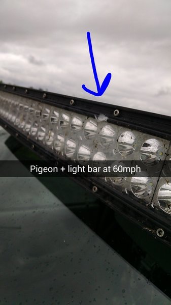 Snapchat-3965089926945894088.jpg