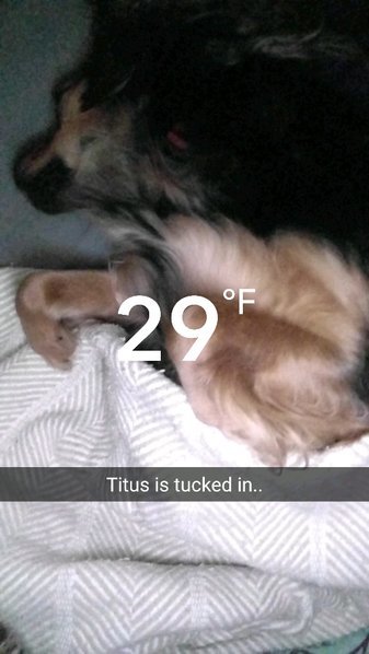 Snapchat-564271591.jpg