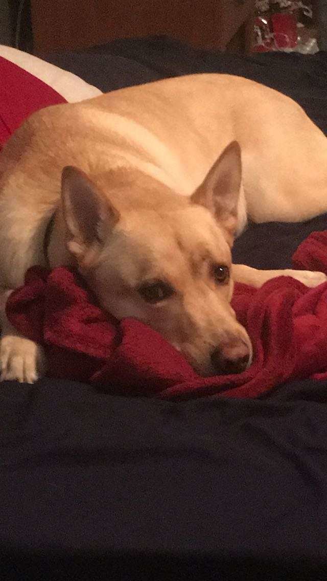 Snapchat-723554079.jpg